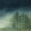 Wetlands #2