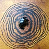 Primal Pattern - Tree Rings