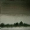 Marsh Pines