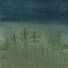 Wetlands