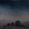 Pines and Dark Sky