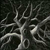 Dancing Oak