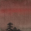 Pines at Sunset