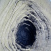 Seed Stone - detail