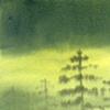Wetlands #3