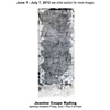 June 1 - July 7, 2012
Jeanine Coupe-Ryding