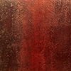 Janis Pozzi-Johnson
Those Forgotten, I Remember