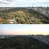Ben Whitehouse
3 Captures from Revolution Central Park