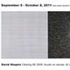 David Shapiro
New Work

September 9 - October 8, 2011