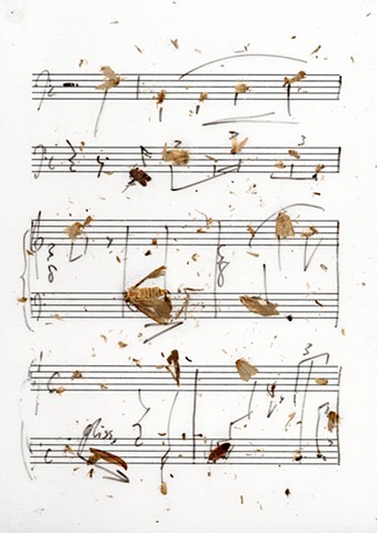 translated score used in structure study III