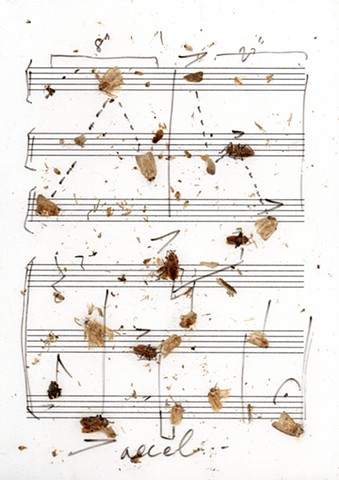 translated score used in structure study III