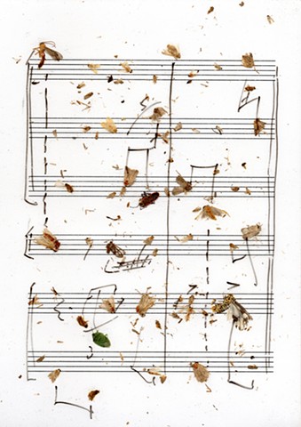 translated score used in structure study III