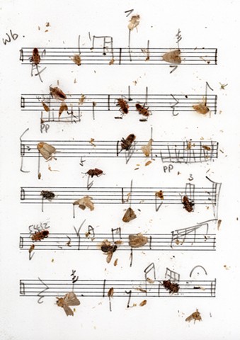 translated score used in structure study III