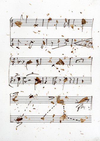 translated score used in structure study III