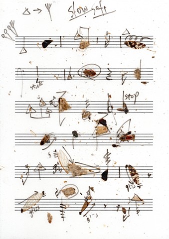 translated score used in structure study III