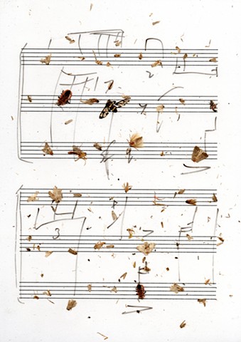 translated score used in structure study III