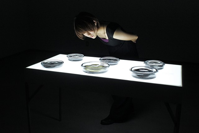 Object Lessons: Residue