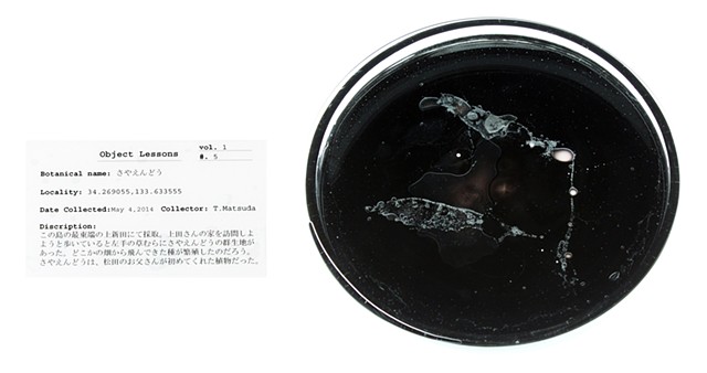 Object Lessons: Residue