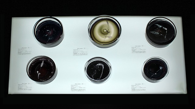 Object Lessons: Residue