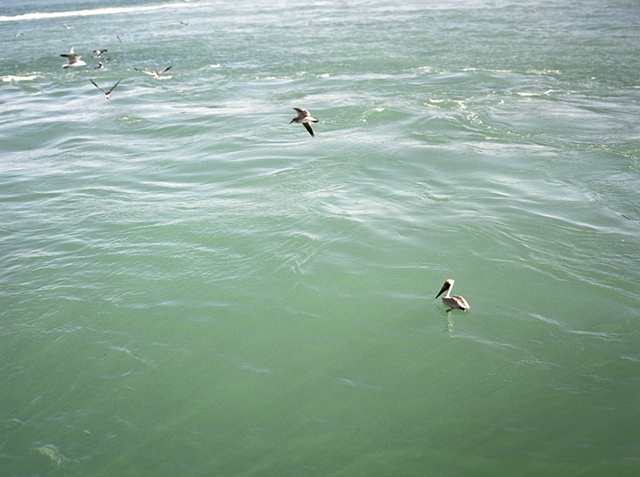 Splash Image