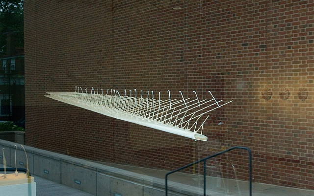 Flying Canes