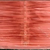 Chest Study-Pink Detail