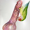 "Worse Than Braces (peach-face love bird) "