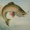 The Notorious Texas Trout