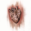 for Stanford School of Medicine newsletter, September 2011