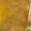 Fort Rebeling (detail)