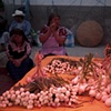 Mercado, Tlacolula