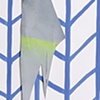 Claw in Net