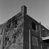 Insane Asylum
