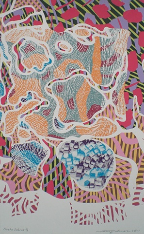 Plastic Zebras