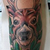 Adam's (mostly healed)