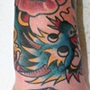 Pete's gap filler dragon