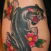 Jo's cover-up