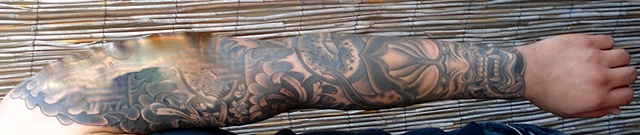 briansleeve1