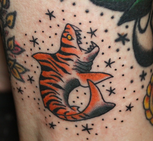 tiger shark tattoo anthony filo rochester