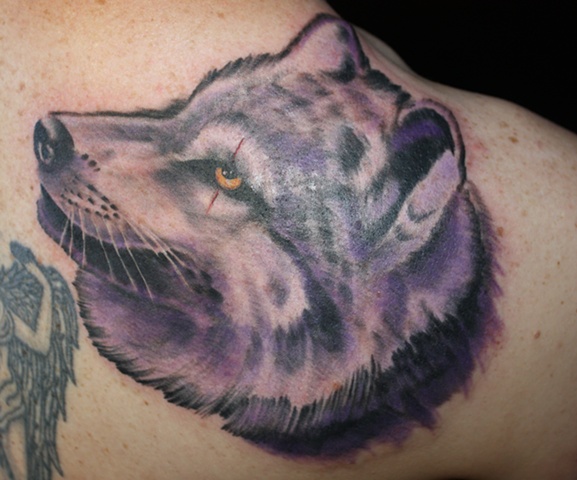 wolf color portrait tattoo anthony filo rochester