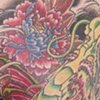dragon koi 1