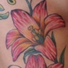 lilies lilly tattoo - anthony filo