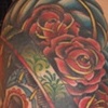 david sleeve