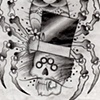 spider