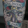 chris sleeve 5
