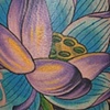 big lotus tattoo - anthony filo