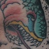 chris sleeve 6 