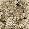 dragon koi