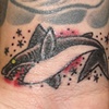 shark week 1