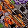 fantail gold fish sleeve